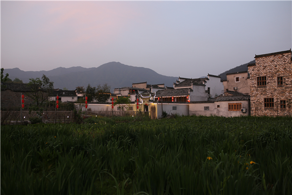 心旅拾忆-高速•中央公园-乡村夏夜曲-黄陈