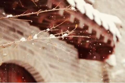 一首小诗-高速物业新站分公司-许雷英-减字木兰花·庐州北陆