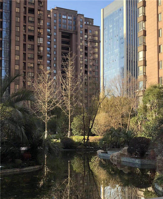 《七律.战疫》